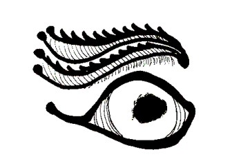 AMMU.jpgA.jpgBIRD.jpgEWR.jpgBN.jpg BMIODDGGG